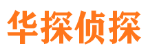 迎江市侦探调查公司